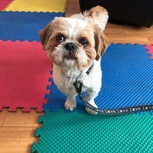 Meet your Posher, Adassa